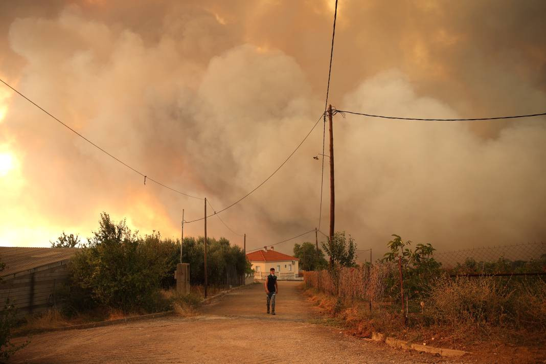 Meriç Bölgesi'nde yanan ormanlık alanda ceset bulundu - Resim: 15